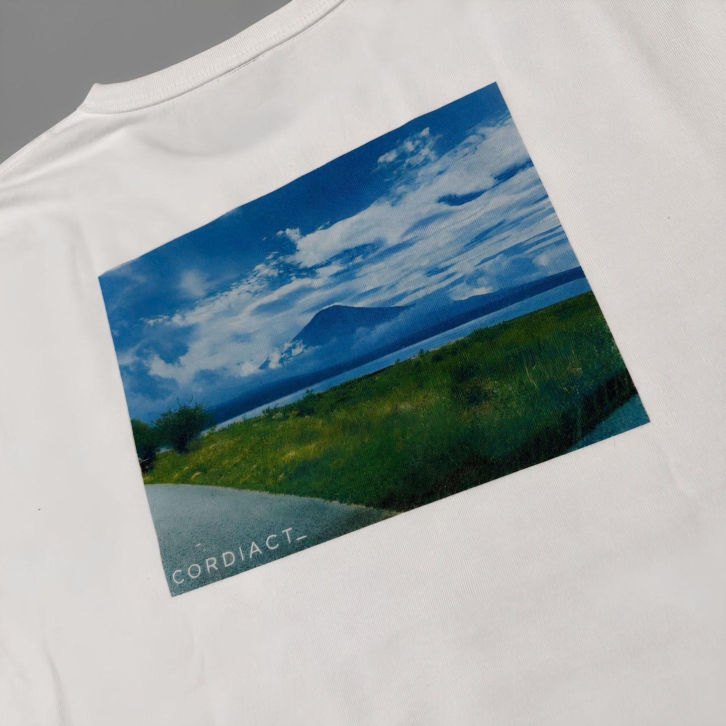 「fuji」グラフィック Tシャツ（半袖）