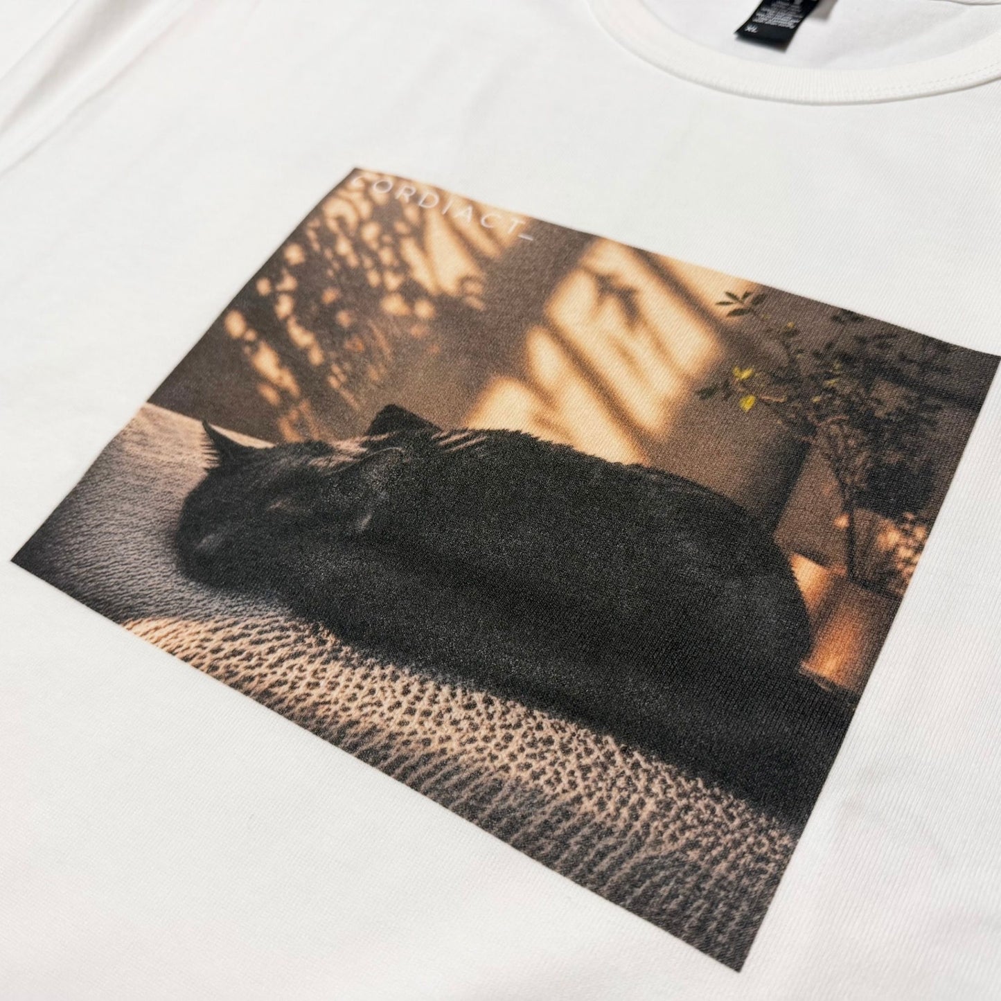 「neko」グラフィック Tシャツ（半袖）